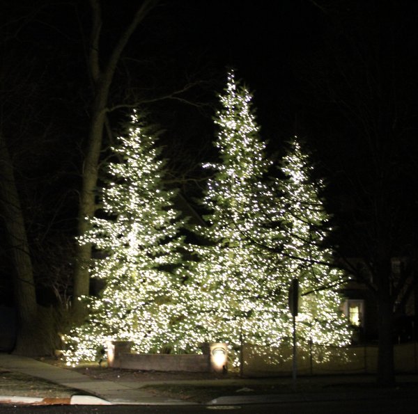 Twelfth Night, North Shore Chicago